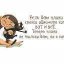  ******, , 53  -  28  2015   