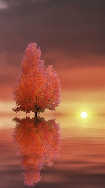 , , . - 20  2015  12:15