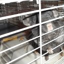 ���� ������, ������ - ��������� 6 ������ 2016 � ������ ���� ����������