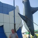 ���� �����, �����, 53 ���� - ��������� 23 ������� 2015 � ������ ���� ����������