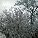 ���� ����, ������, 61 ��� - ��������� 8 ������ 2015 � ������ ������� ������� �����