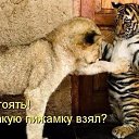 ���� ������, ���������� �����, 56 ��� - ��������� 8 ������ 2015 � ������ ������ ��������