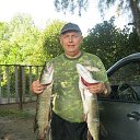 ���� ��������, ��������, 62 ���� - ��������� 8 ����� 2016