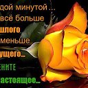 ���� �������, ���� - ��������� 22 ������� 2016 � ������ ������ ��������