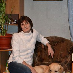 �����, ������������