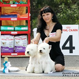 ������, ����, 46 ���