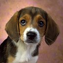 ���� ���������, ��������, 58 ��� - ��������� 8 ������ 2016 � ������ ���������