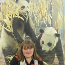 ���� �������, ������ - ��������� 30 ������� 2015 � ������ ���� ����������