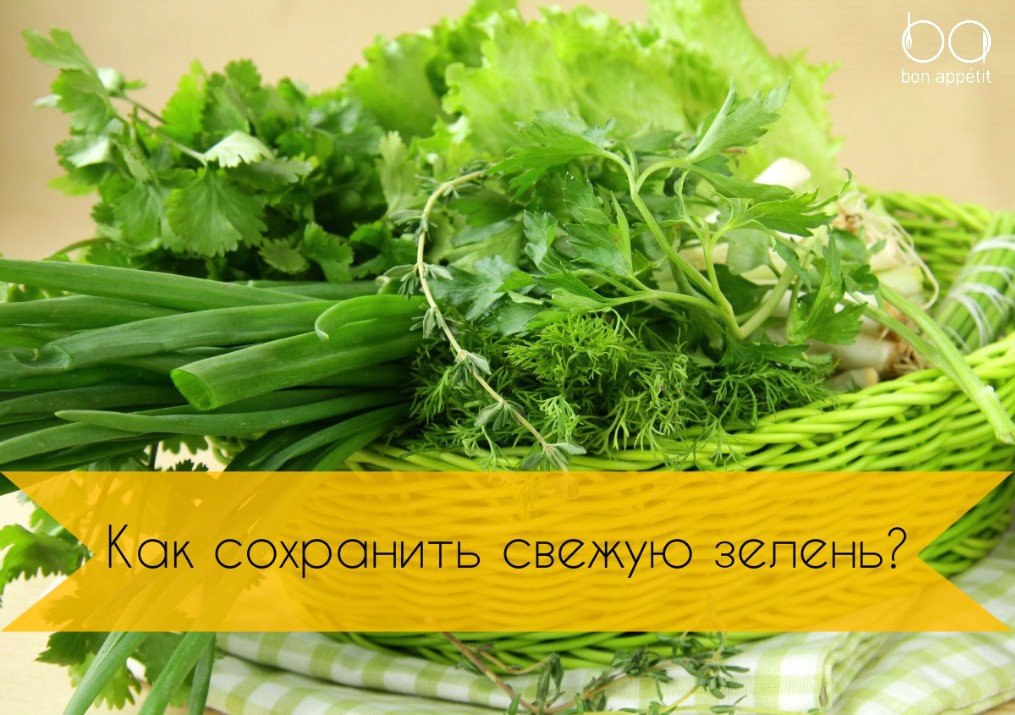 Как сохранить свежую зелень? Петрушку, зеленый лук или укроп ... | Bon ...