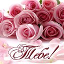 ���� �����, �������� - ��������� 6 ������� 2015 � ������ �������� ��������