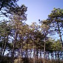 ���� ���������, ���������, 63 ���� - ��������� 18 ������ 2015 � ������ ���� ����������