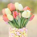 ���� �������, ��������� - ��������� 18 ������� 2016 � ������ ���� ����������