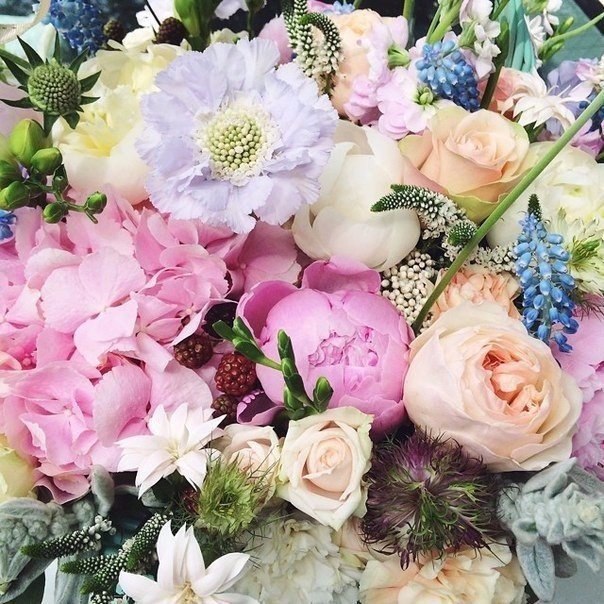 ���� � ������� - 21 ������� 2015 � 03:29 - 3