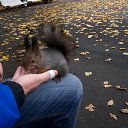 ���� ���������, ������ - ��������� 31 ������� 2015