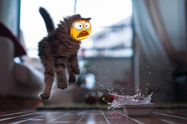 :3