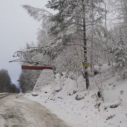 ���� ������, �������, 46 ��� - ��������� 29 ������ 2015