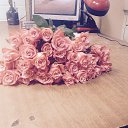 ���� ��������, ������ �������� - ��������� 29 ������� 2015 � ������ ���� ����������