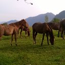 ���� ��������, ���������, 59 ��� - ��������� 9 ����� 2016