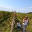 ���� Natia, �������, 42 ���� - ��������� 17 ������� 2015