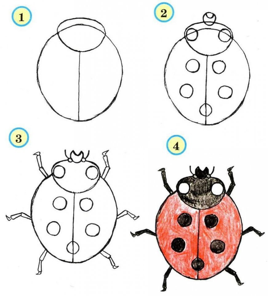 Как нарисовать насекомых для детей в детском саду