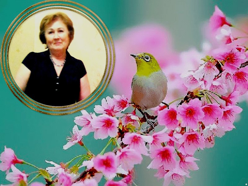   ,   ,      ...... ,   ...