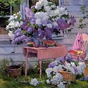 ���� �������, ������, 48 ��� - ��������� 14 ������� 2015 � ������ �Art�