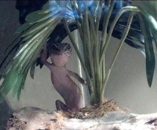 Look at this... 🌏 - 4 ������� 2015 � 07:43