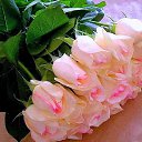 ���� �������, �����, 64 ���� - ��������� 15 ������� 2015 � ������ ������ ��������