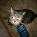 ���� �������, �����, 49 ��� - ��������� 14 ������� 2015 � ������ ���� ����������