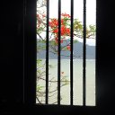 ���� ��������, ����������� - ��������� 1 ������ 2015 � ������ ������ ��������