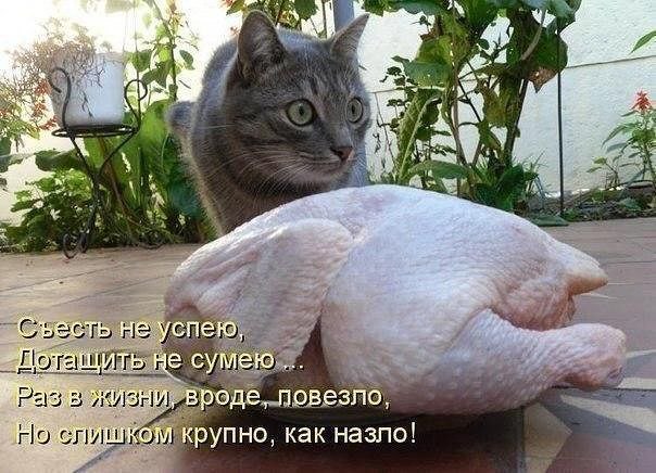 ��� ���� - 18 ������ 2015 � 13:59