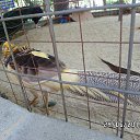 ���� Viktor, ������ - ��������� 20 ������� 2016 � ������ ������ ��������