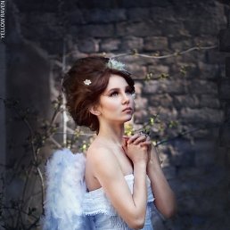 �����, ����������, 38 ���