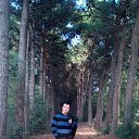 ���� �����, ����, 45 ��� - ��������� 8 ������� 2015 � ������ ���� ����������