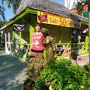 ���� �������, ������, 48 ��� - ��������� 16 ������ 2016 � ������ ���� ����������