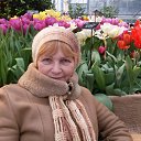 ���� ���������, ��������, 70 ��� - ��������� 5 ����� 2016 � ������ ���� ����������