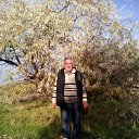 ���� ���������, ���������, 63 ���� - ��������� 18 ������ 2015 � ������ ���� ����������