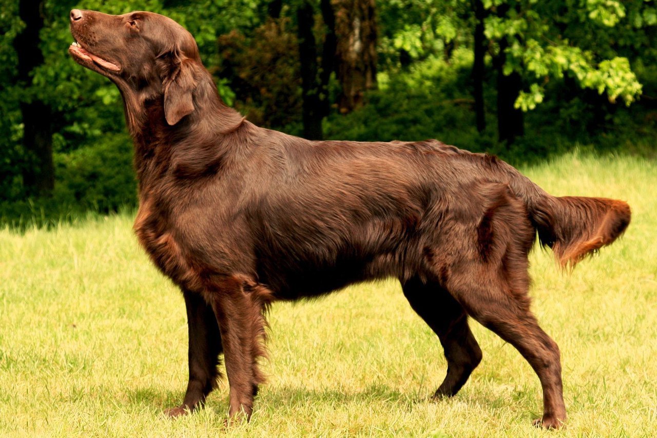 ������ ������ - 28 �������� 2015 � 21:05