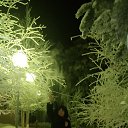 ���� ���, ��������, 49 ��� - ��������� 14 ������ 2015 � ������ ���� ����������