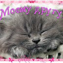 ���� �������, ���� - ��������� 26 ������� 2015 � ������ �������� ��������