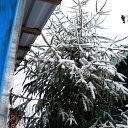 ���� �������, ���������, 69 ��� - ��������� 6 ������� 2016 � ������ ������ ��������