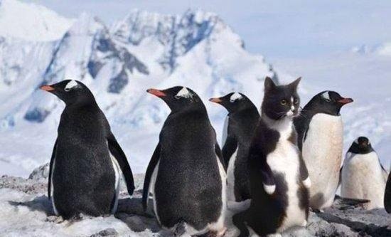 ����� ��� ���� �����.