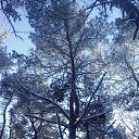 ���� ������, �����, 52 ���� - ��������� 26 ������ 2016 � ������ ���� ����������