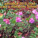  Skoj,  -  1  2015   --2015-16.