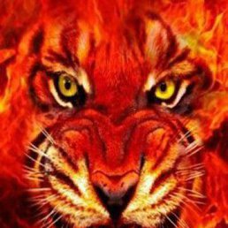 ���� ������, ������, 43 ���� - ��������� 18 ������ 2016