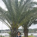 ����� 2015 �. �� ������� ���� ����������