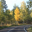 ���� ����, �������, 62 ���� - ��������� 8 ������� 2015 � ������ ���� ����������