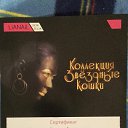 ���� �������, ��������, 52 ���� - ��������� 5 ������� 2015 � ������ ������ ��������