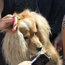 ���� * 🏄 Olga 🐬 *, ����� - ��������� 21 ������ 2016 � ������ ���� ����������