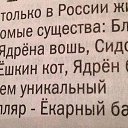  , -, 51  -  8  2015     ?